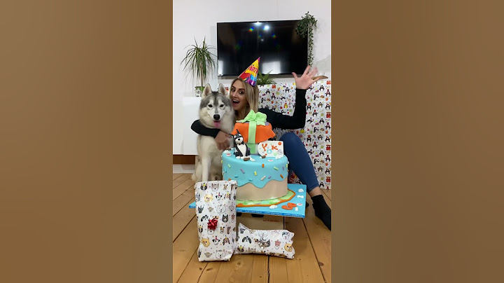 Il mio CANE mi DEDICA una LETTERA DOLCISSIMA🥹💌🐺 #cane #dog #lettera #festadellamamma