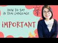 Thai Lesson: How to say ‘Important’ in Thai Language #LearnThaiOneDayOneSentence