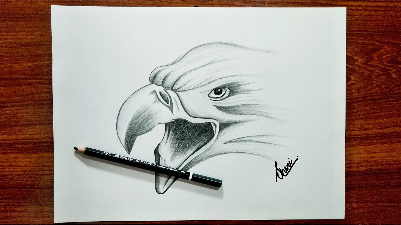 A Realistic Drawing of an Eagle · Creative Fabrica