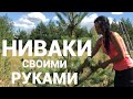 НИВАКИ..СВОИМИ РУКАМИ ИЗ СОСНЫ