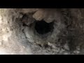 Dryer vent cleaning
