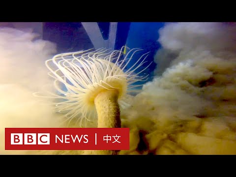 電動車引申深海挖礦　環保救地球還是製造新災難？ － BBC News 中文