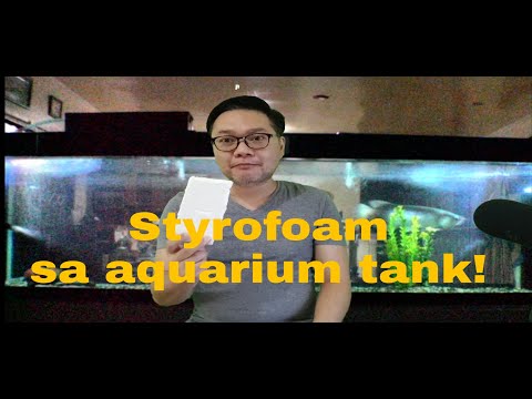 Video: Ano ang maganda sa Styrofoam?