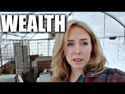 Debt Free Homestead Through Dave Ramsey Budget!