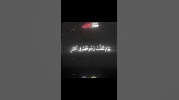 يوم تقلب وجوههم في النار / سورة الأحزاب  / قران كريم