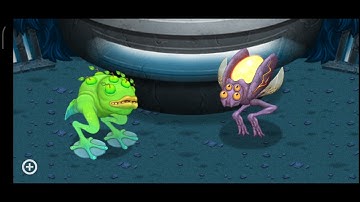 MSM wublin island brump and zynth duet