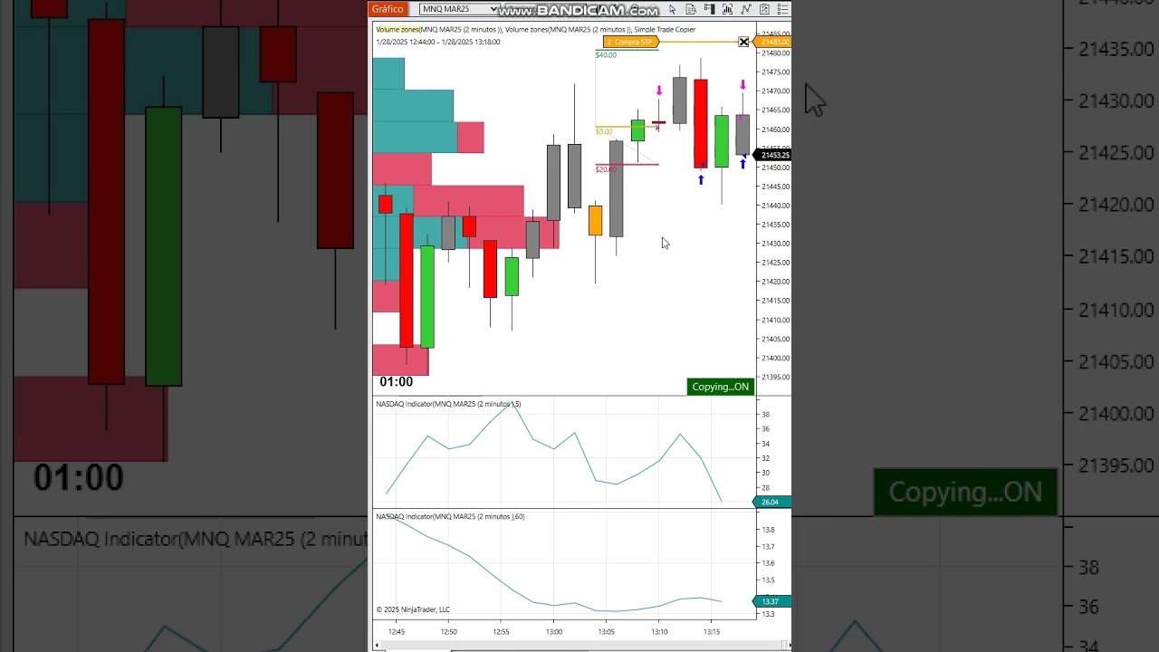 Operação nasdaq 60 dolares de lucro    APEX