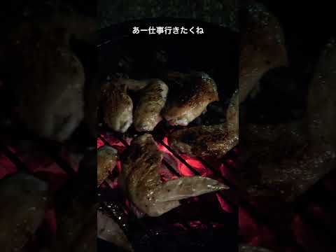 GWまだだけど、庭でバーベキュー#手羽先 #bbq #バーベキュー #焼肉 #アウトドア