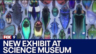 Science Museum of Minnesota exhibit uses reclaimed specimens