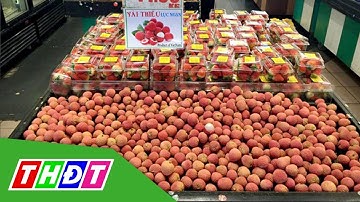 Chuẩn bị các thủ tục xuất vải sang Nhật | THDT