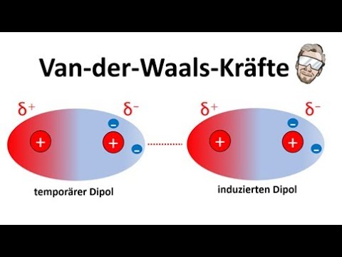 Video: Erhöht Verzweigung den Siedepunkt?