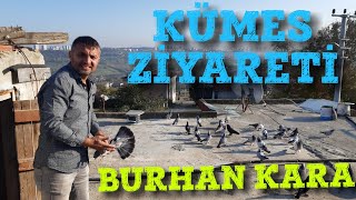 Kümes Ziyareti BURHAN KARA Samsun