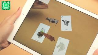 Animal interaction augmented reality