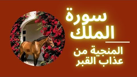 قران كريم سورة الملك 🤲🕋المنجية من عذاب القبر 💐🤲🕋#دعاء #يارب #اكسبلور 🎧