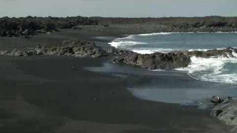 The Stability of the System [Exclusive Excerpt]