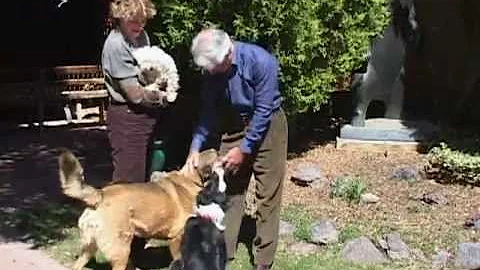 About Animal Nutrition Expert Dr. Richard Patton