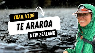 Stuck in a Hut in a Rainstorm | Te Araroa Trail New Zealand  #BackpackingNZ