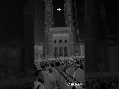 نفسي اشوفك في المنام يا رسول الله لا نتسو الاشتراك