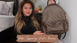 Louis Vuitton Monogram Canvas Palm Springs MM Backpack - FINAL