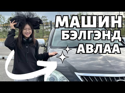 Видео: Шувууны сэг зэмийг оршуулах 3 арга