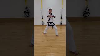 Low Knife Hand Block, Mid Knife Hand Block, Reverse Kwan Soo
