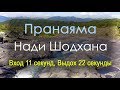 Нади Шодхана Пранаяма - Вход 11 секунд Выдох 22 секунд (на природе)