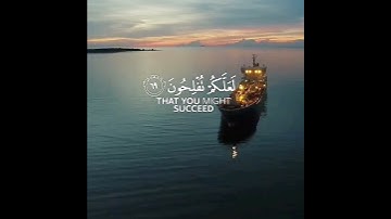 آيات تحث على التأمل والتفكر من القرآن الكريم 🌹 رعد محمد الكردي حالات واتس اب دينية قصيرة مؤثرة