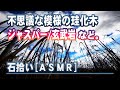 不思議な珪化木/ジャスパー/玄武岩