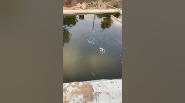 مزرعتك افضل مع بركة السماد العضوي