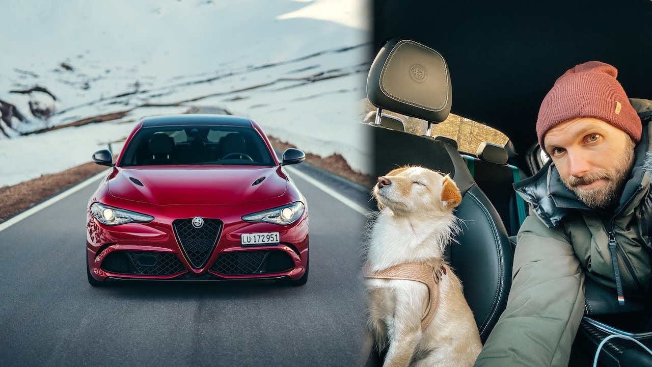 ⁣Alfa Romeo Giulia QV Dog Rescue!