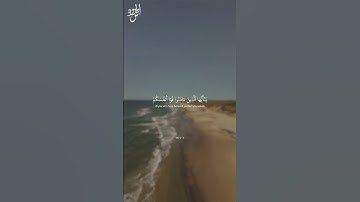 Surah At-Tahrim | Ayah 5-6 | سورة التحريم