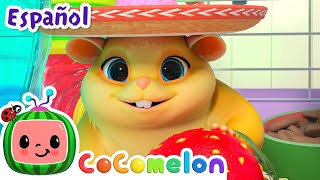 El hámster perdido | Canciones Infantiles | Caricaturas para bebes | CoComelon en Español
