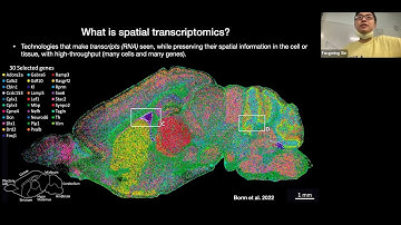 W31: Spatial Transcriptomics – Day 1