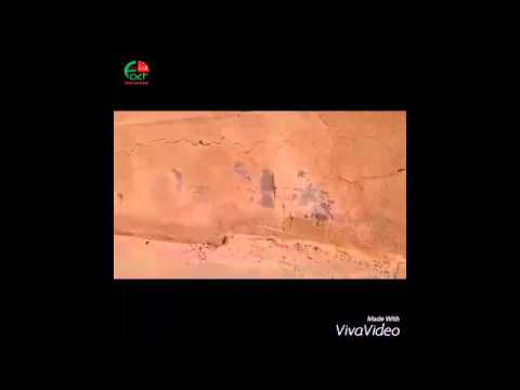 مدرسة ام النعام الشرقية الثانوية للبنات   مكرهة صحية وبيئة تعليمية سيئة   الحقيقة الدولية