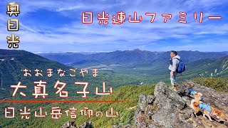 【日光連山ファミリー】4K 日光山岳信仰の山　大真名子山(おおまなごやま) #登山 #日光 #柴犬