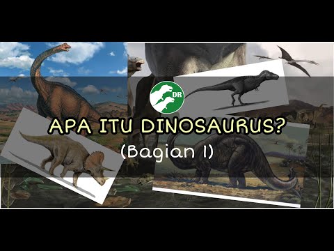 Video: Apa Itu Dinosaurus?