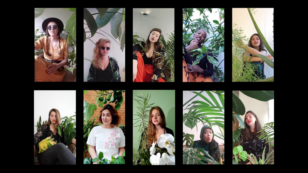 Covoc-19 - Rafiki (Zap Mama cover)