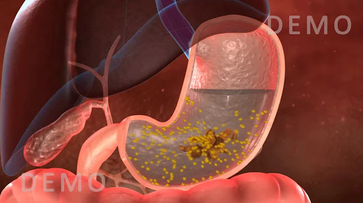 THE HUMAN DIGESTIVE SYSTEM OESOPHAGUS AND STOMACH v02 - DayDayNews