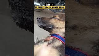 Day 11 to become TOPPER from Zero #boardexammotivation #minivlog #from0to98 #98percentchallenge #vlo