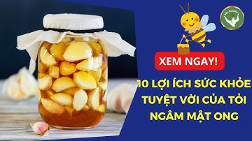 10 Lợi Ích Sức Khỏe Đáng Kinh Ngạc Của Tỏi Ngâm Mật Ong | Đức Phương Sức Khoẻ