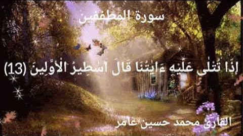 سورة المطففين _ الشيخ محمد حسين عامر