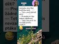 🦢 Malá neteř má řešení #vtipy #sranda #humor #komedie #smích #cesko #vtipnevidea #vtípky