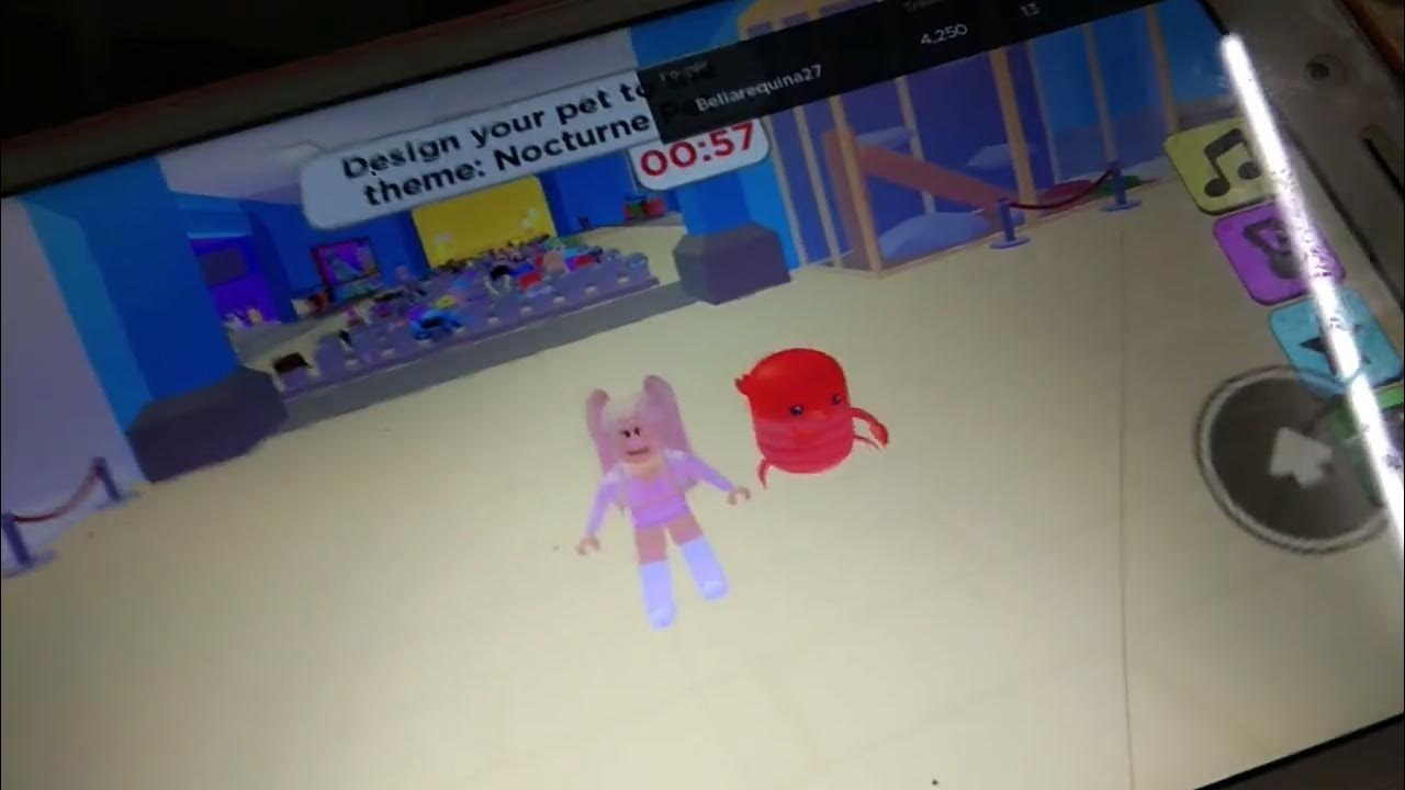 roblox pet show dress up code top secret YouTube