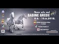 Konji bijelci 2018 - ... to su Babogredci...NATJECANJE U VJEŠTINAMA