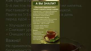 Полезно знать про лавровый лист