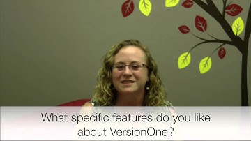 VersionOne Customer Testimonial - Susan Evans - IgnitionOne