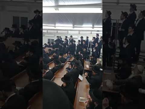 האדמו ר מסקולען הדלקת נר שמיני תשפ ב I ניגון על הניסים 