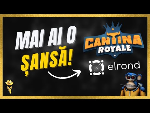 Primul play2earn pe #elrond | Cantina Royale