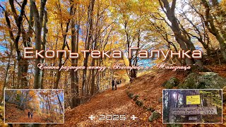 видео: Екопътека Галунка - едно прекрасно място за разходка и отмора в полите на Витоша картинка: Екопътека Галунка - едно прекрасно място за разходка и отмора в полите на Витоша