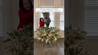 Lo Que No Sabes Del rbol De Navidad  christmas christmastree christmastreedecoration tree